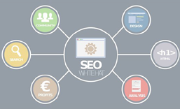 光明网站SEO 优化  推广