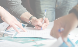 光明行业门户网站建设